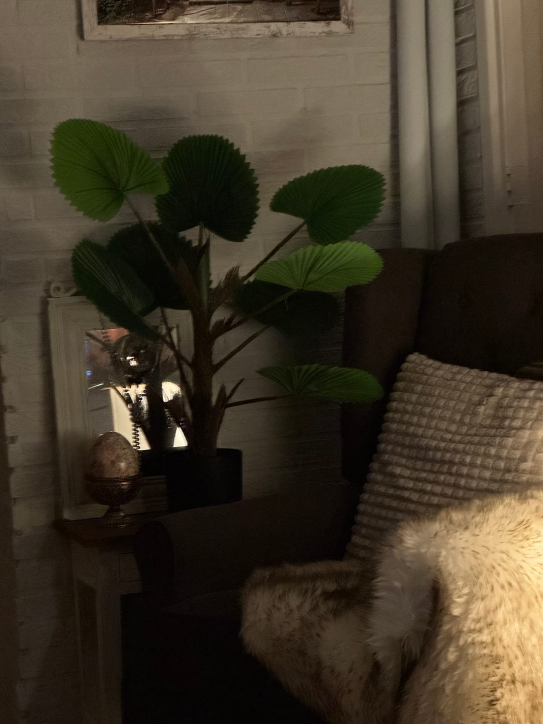Customer photo review of Kunst Waaierpalm 75cm