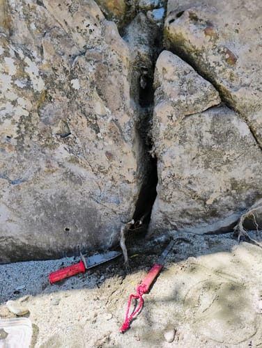 Customer photo review of Tyger Claw