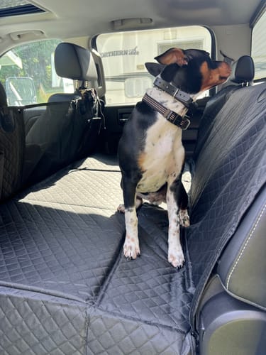 Customer photo review of NEW Waterproof Hard Bottom Car & Truck Seat Foldable Hammock Cover With Storage Pockets, Side Flaps, Headrest Straps, Seat Anchors, & Mesh Window (+FREE SAFETY BELT!)