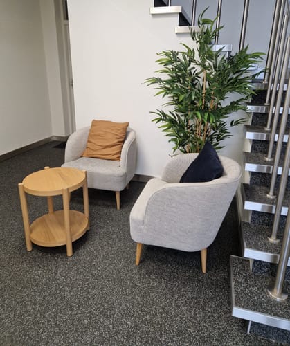 Customer photo review of Bamboe Kunstplant 180 cm