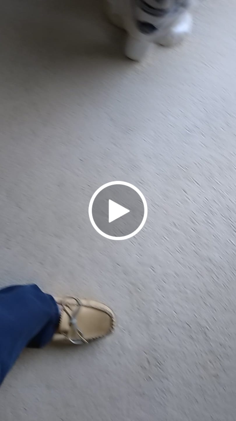 Customer video review of Women's Moose Hide Moccasins