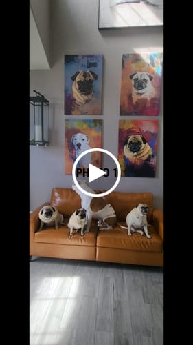 undefined review of Custom Pet Portrait - Abstract Style image 1 out of 1
