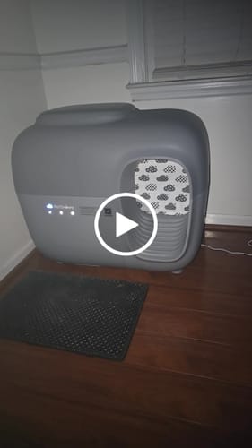 Customer video review of Self-Cleaning Litter Box