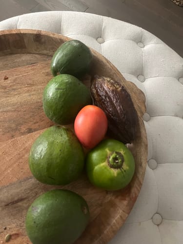 Customer photo review of Cacao Pod (Chocolate Fruit)