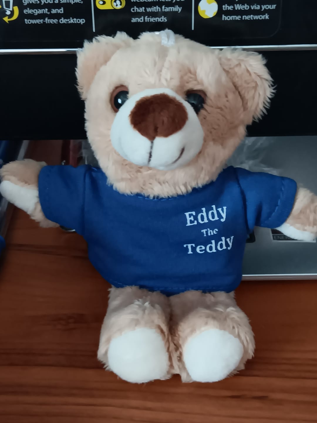 Customer photo review of Eddy The Teddy Keyring