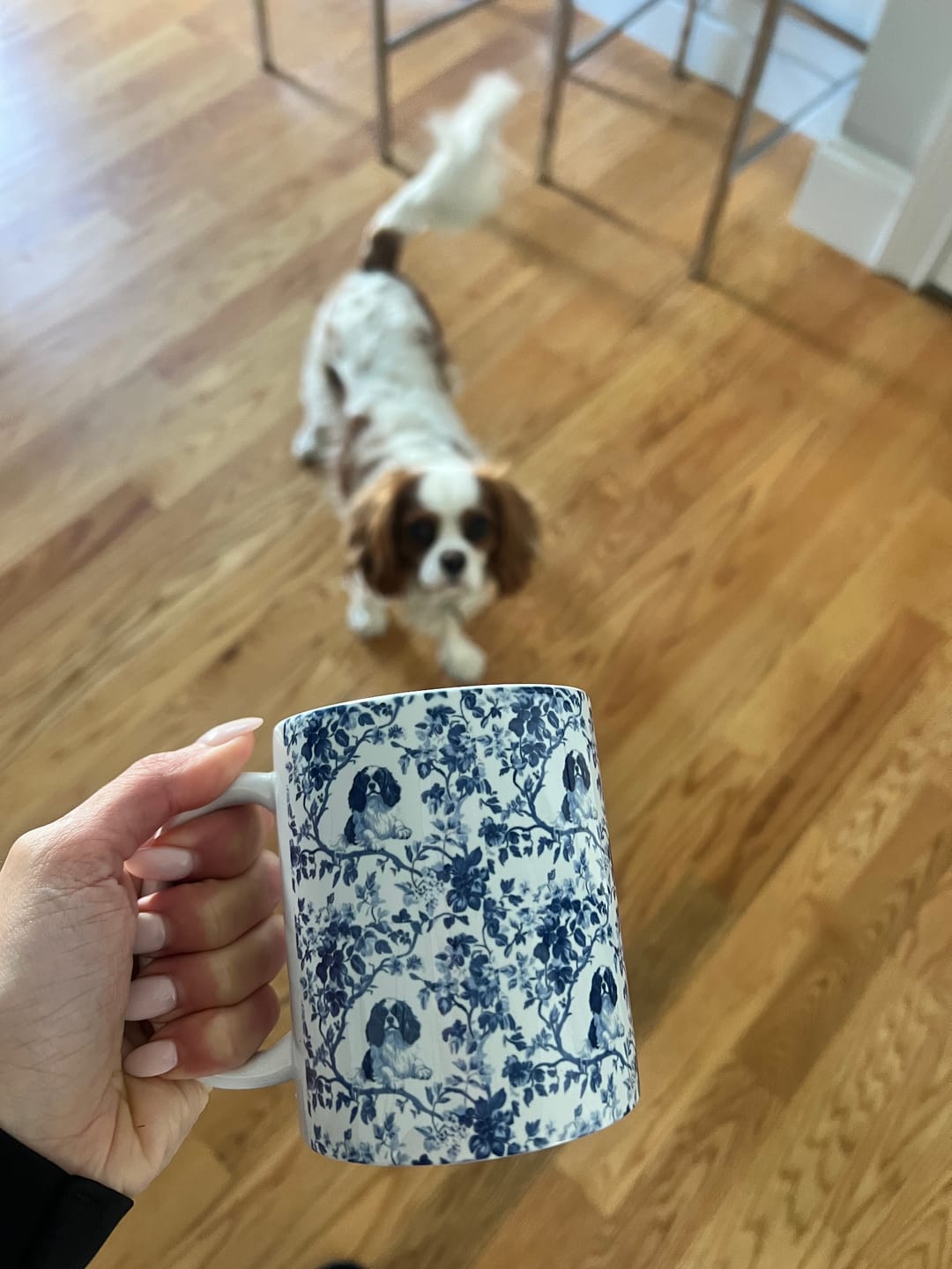 Customer photo review of Cavalier King Charles Spaniel French Blue Toile de Jouy Mug