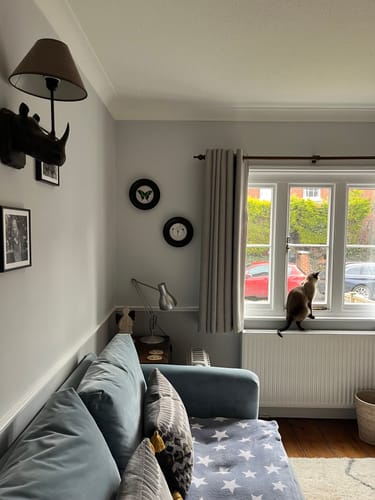 Customer photo review of c.1835 Tropical Butterflies - Round Frames