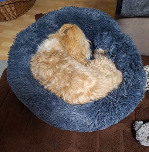 Customer photo review of Puppery Hundebett Wolke 7 - Das Original