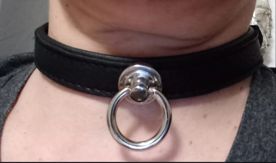 Customer photo review of SiaLinda: Halsband echtes Elch Leder schwarz, 2 Größen, 2 O-Ringe, 20mm breit