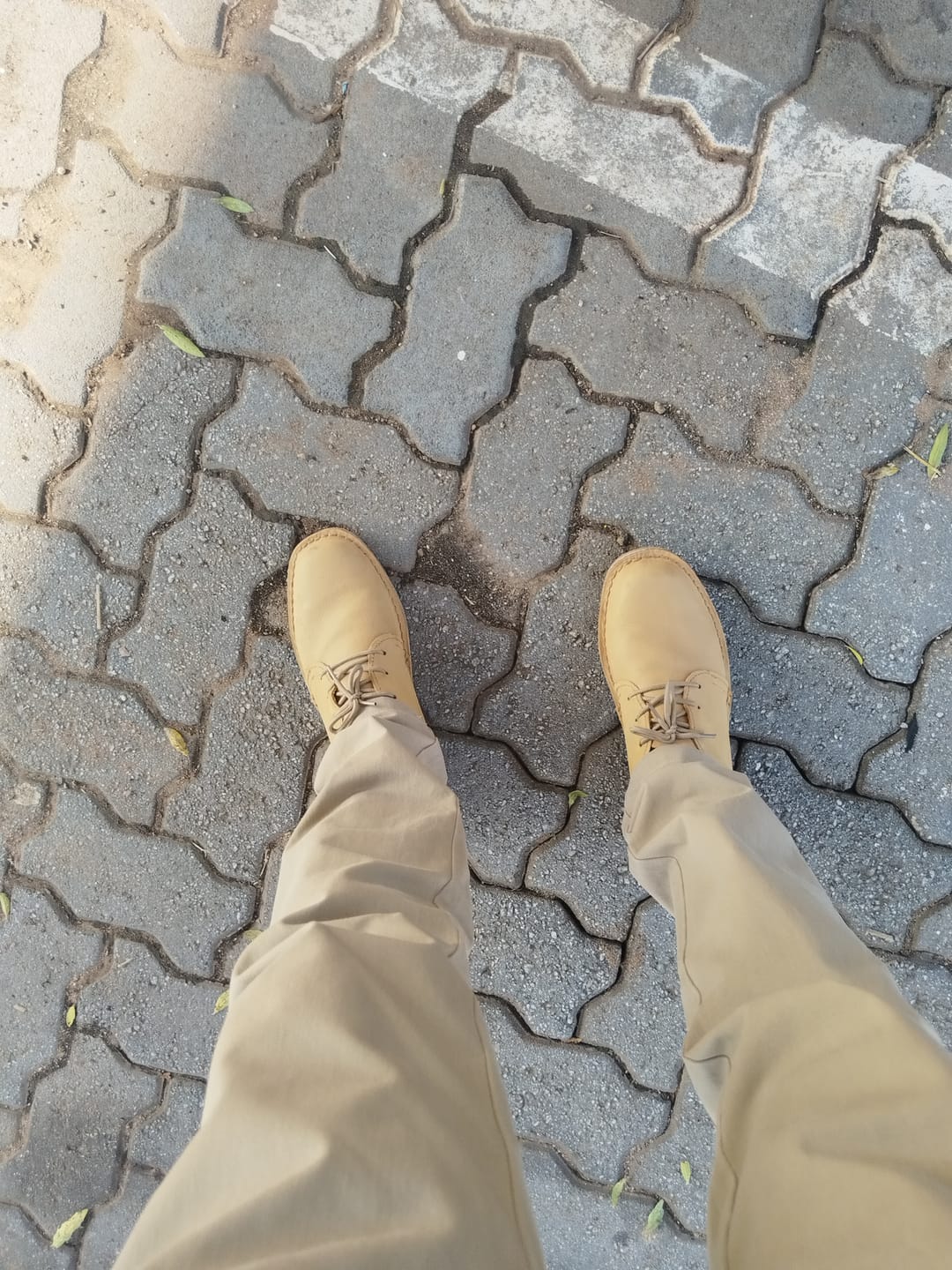 Customer photo review of Tan Urban Vellies Low Cut