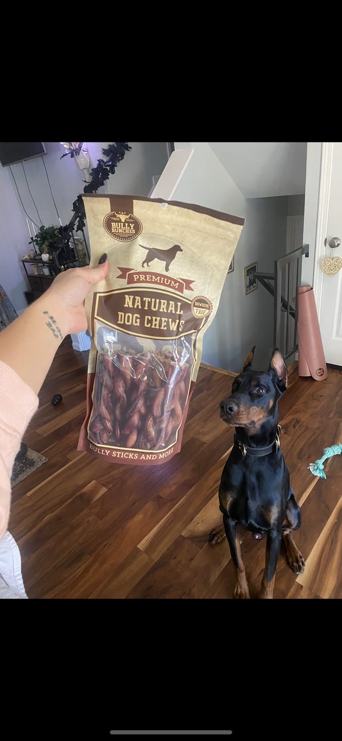 Customer photo review of 6 Inch Jumbo Braided Bully Stick