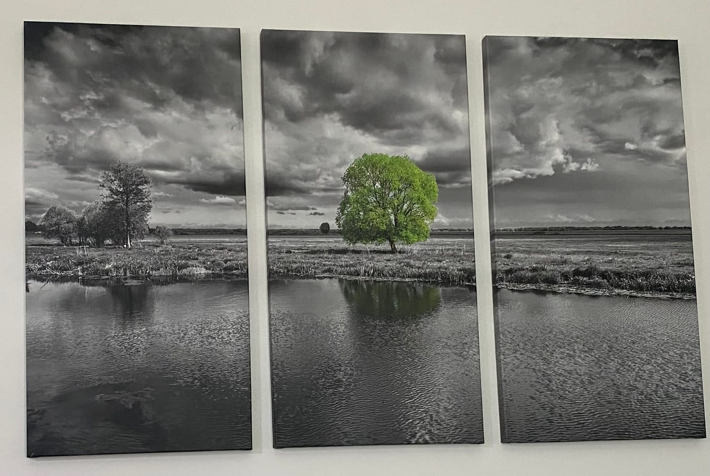 Customer photo review of black and white landscape and green tree №2678 Ready to Hang Canvas Print