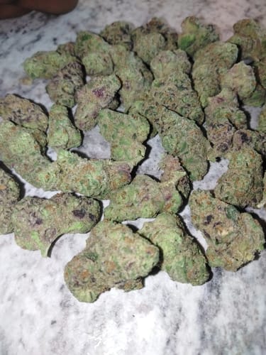 Customer photo review of Skywalker OG - Greenhouse THCA (Smalls)