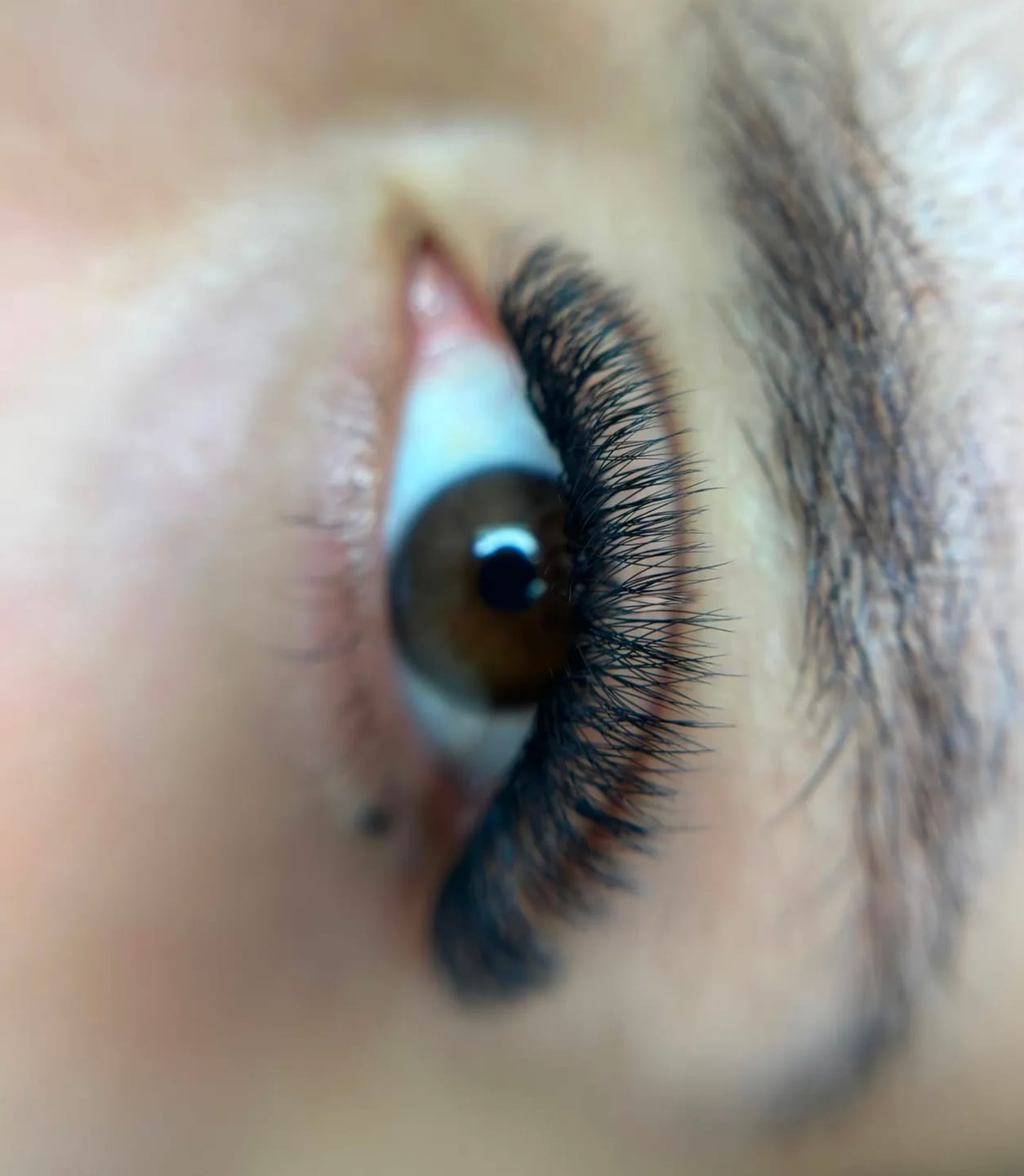 Customer photo review of Mixed W Tecnológicas (36 filas)