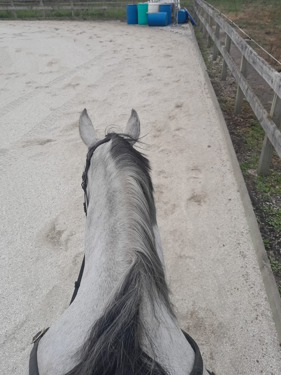 Customer photo review of EquiBind