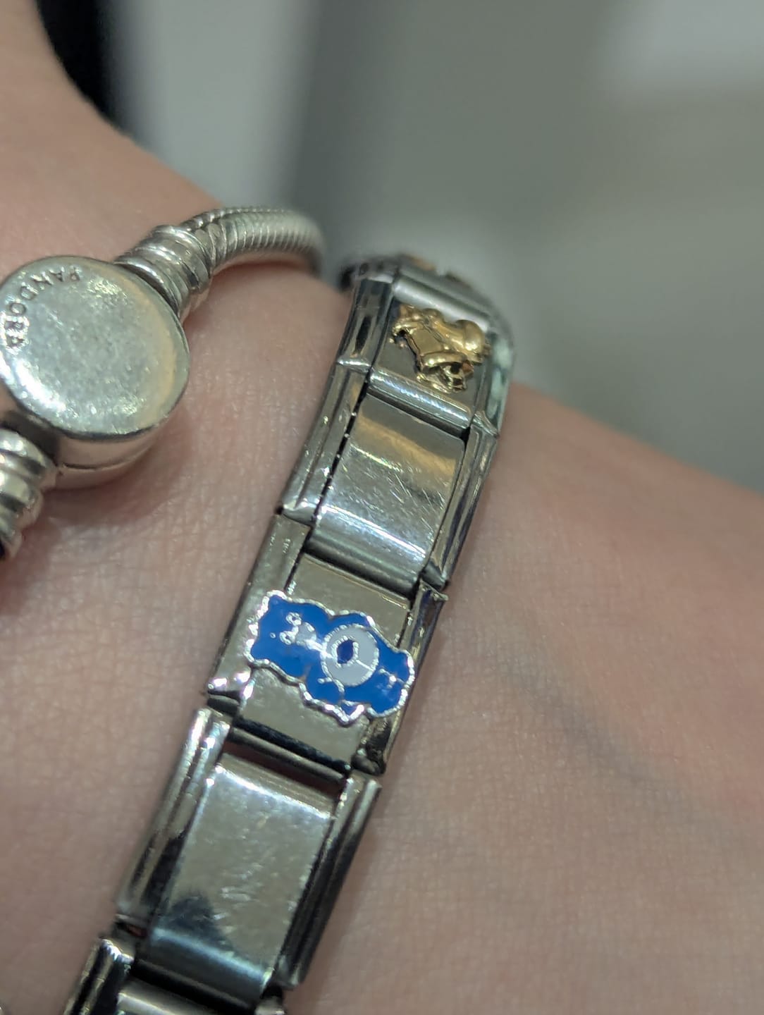 Customer photo review of Charm Ositos Cariñositos