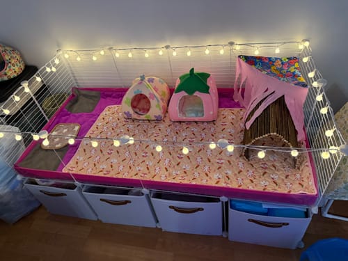 Customer photo review of 4x2 C&C Cage with Stand