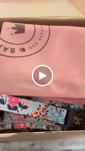 Customer video review of Trail & Glow® Dog Harness Bundle Set - Spring Dreams