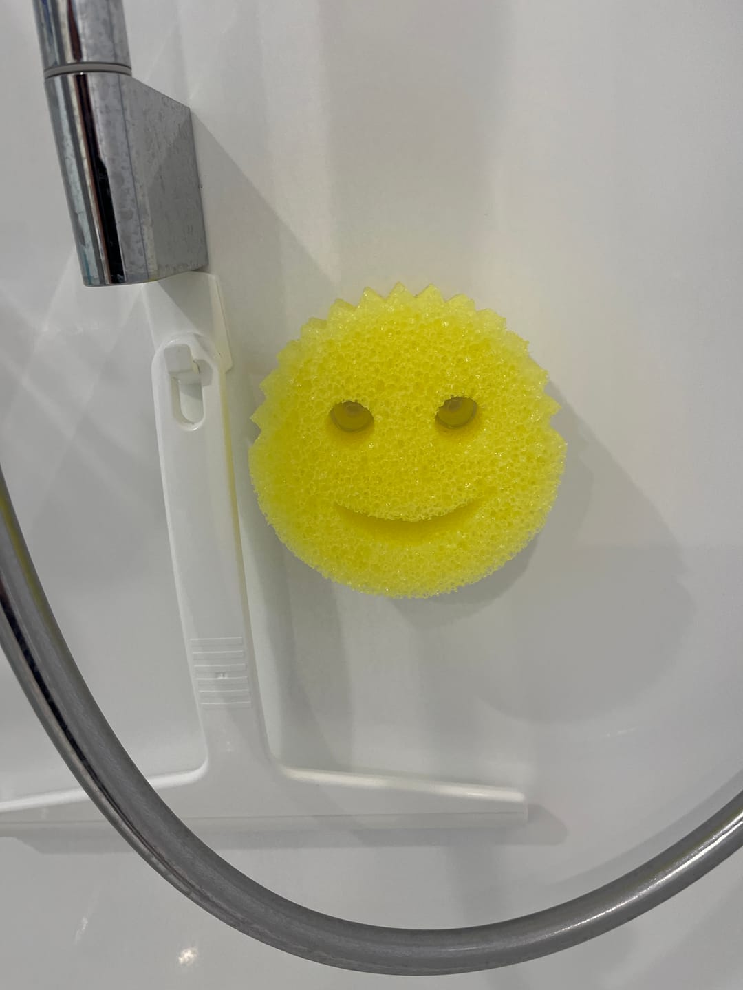 Customer photo review of Scrub Daddy Caddy
