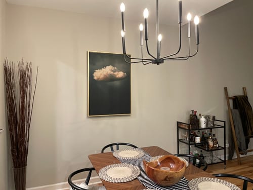 Customer photo review of Vintage Cloud Print