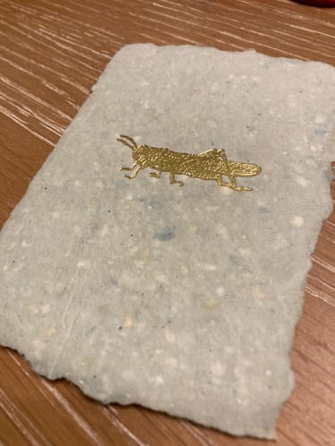 Customer photo review of Summer Seasonal Bundle of 10: Volume I