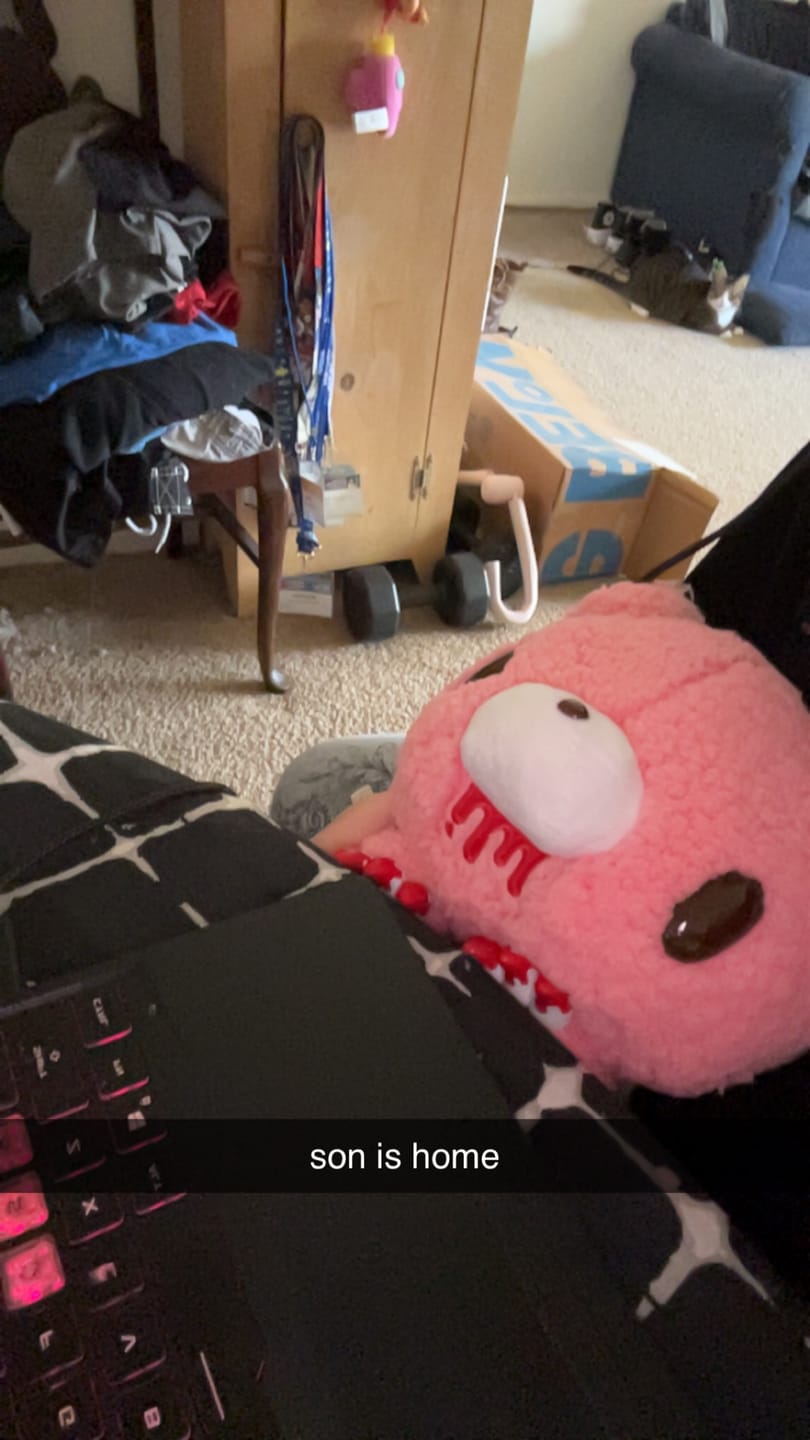 Customer photo review of Gloomy Bear Chax Taito MoCoMoCo Plush