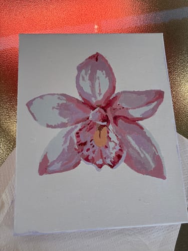 Customer photo review of Orchid II (Mini)