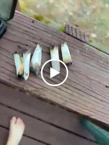 Customer video review of Greenhouse Smalls