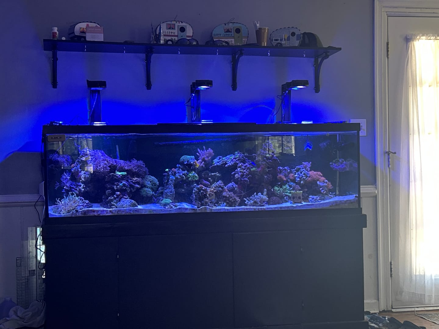 Customer photo review of Illumagic Pixel