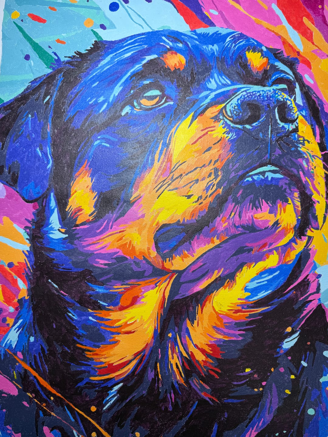 Customer photo review of Color Explosion Rottie