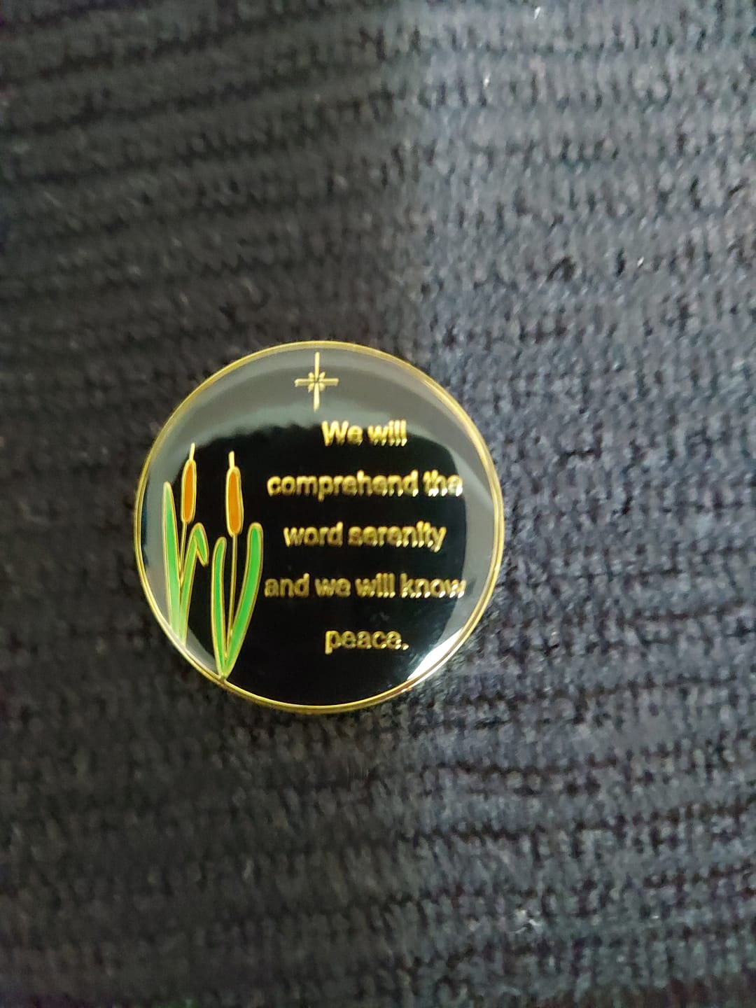 Customer photo review of 1 to 60 Year Dragonfly 9th Step Specialty AA Recovery Medallion - Tri-Plated Chip/Coin
