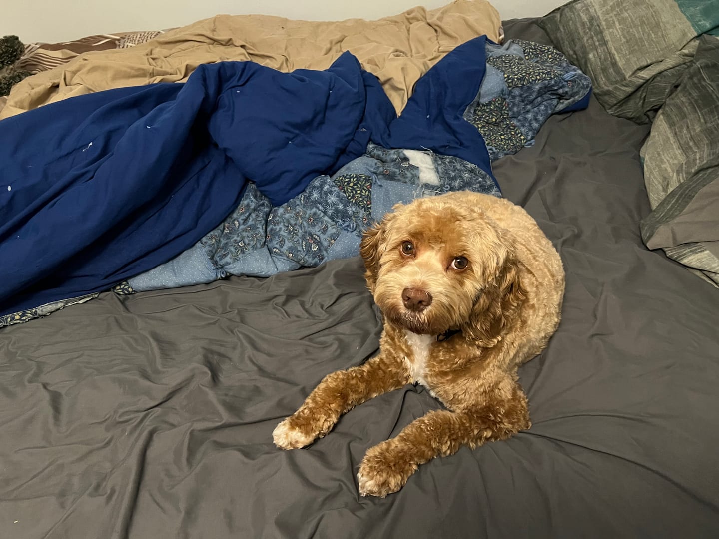 Customer photo review of Terra - Grounding Bed Sheet