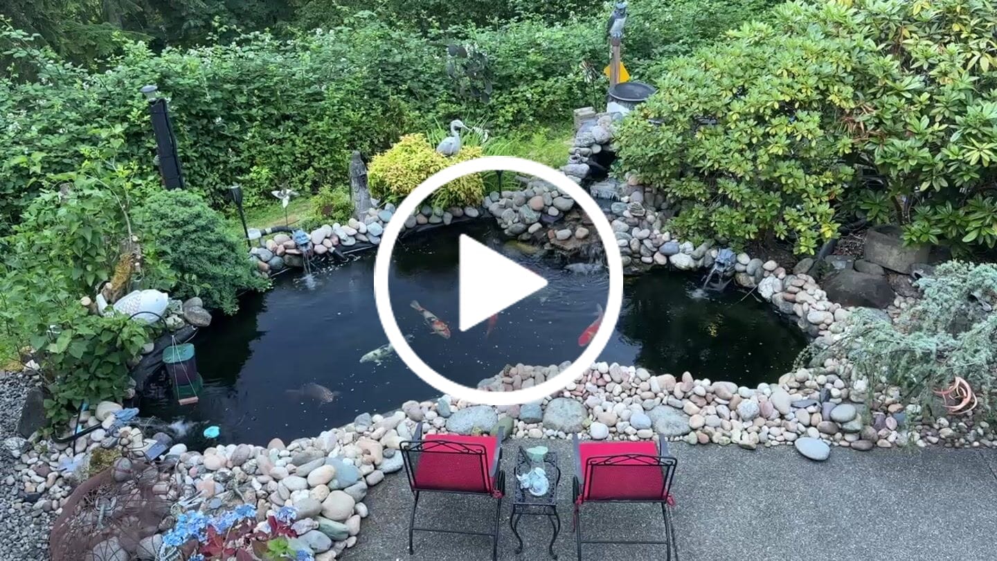 Customer video review of Replacement Leaf Net for the Seagull HydroClean™ Pond Skimmer 11" x 12" x 19"