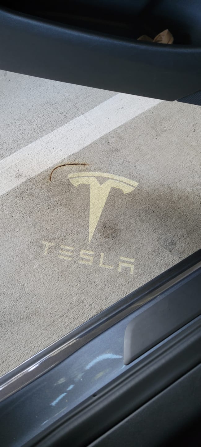 Customer photo review of Projection Light for Tesla Model 3 & Y