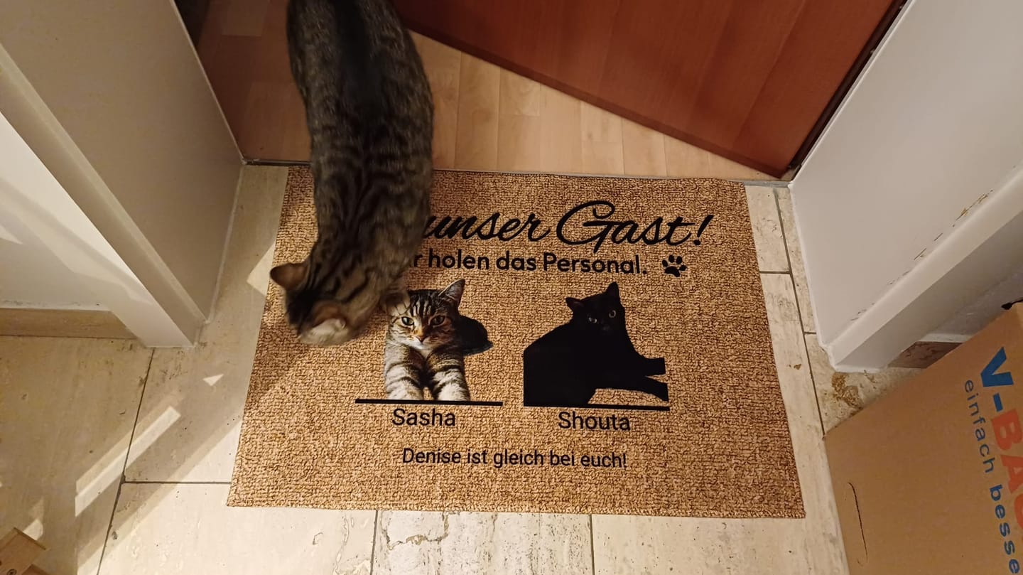 Customer photo review of Katzen holen ihr Personal - Individuelle Fußmatte