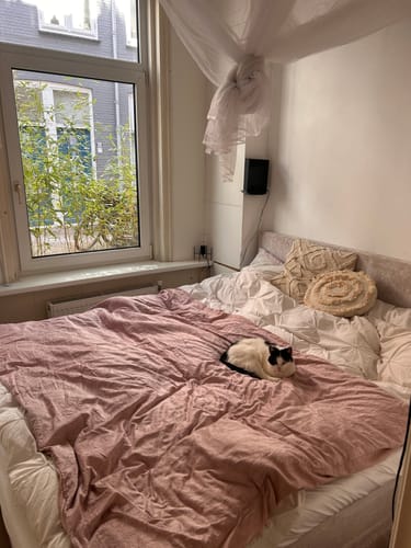 Customer photo review of Boxspring Teddy Look
