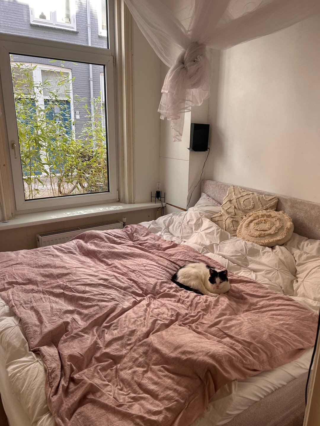 Customer photo review of Boxspring Teddy Look