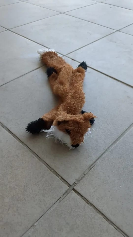 Customer photo review of Simulated Animal Stuffingless Plush Squeaky Dog Toy