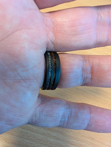 Customer photo review of The Meteorsaur