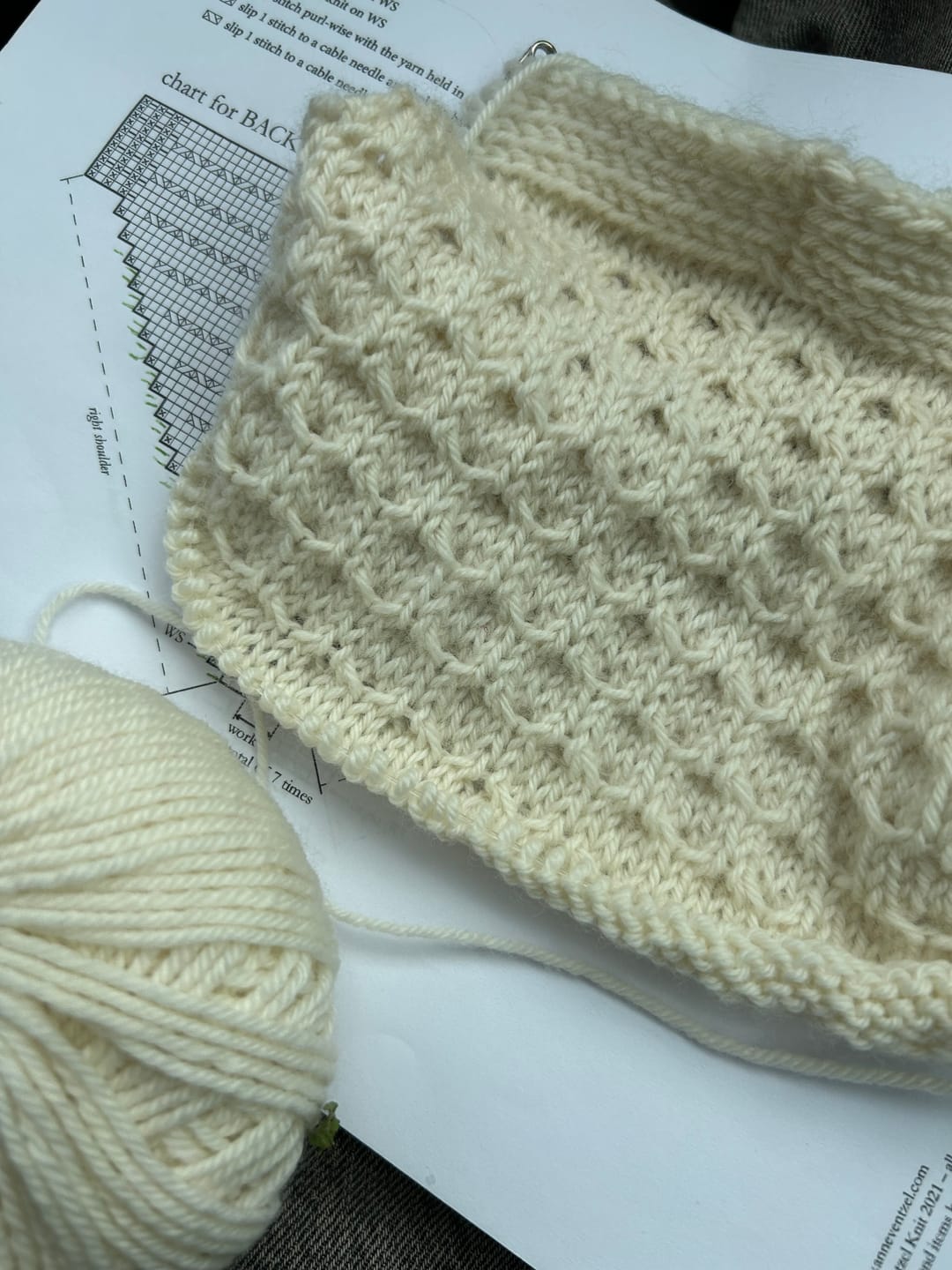 Customer photo review of Merino DK  (100% Lana Merino)