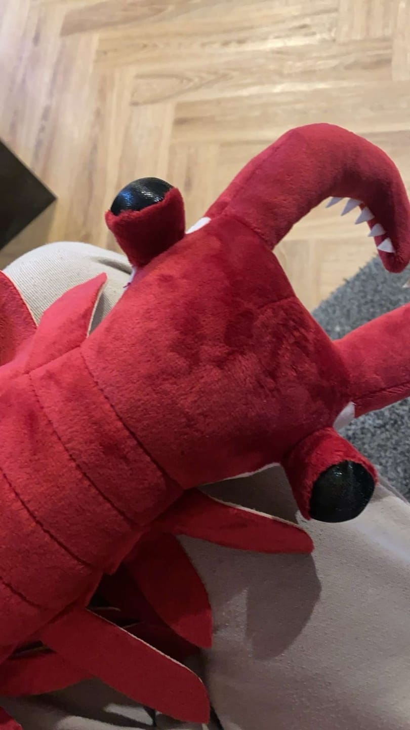 Customer photo review of Anomalocaris Arthropod Soft Stuffed Plush Toy