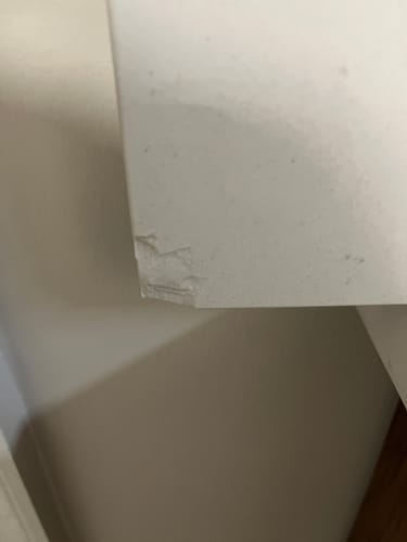 Customer photo review of Sidesplash, Miami Vena