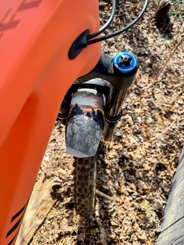 Customer photo review of Custom Fender