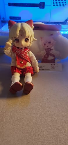 Customer photo review of NAGI Exchange Student Series Action Figure Blind Box