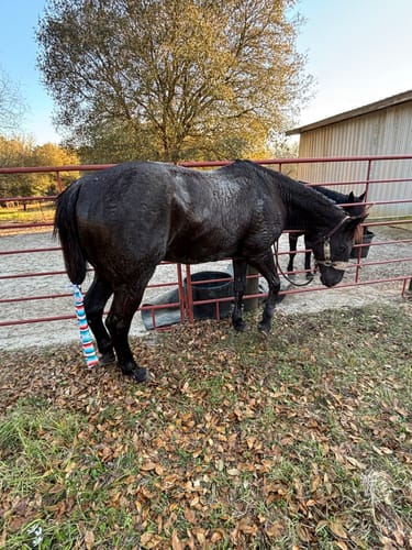 Customer photo review of TACKTICAL™  LOGO TAIL BAG (50% OFF)