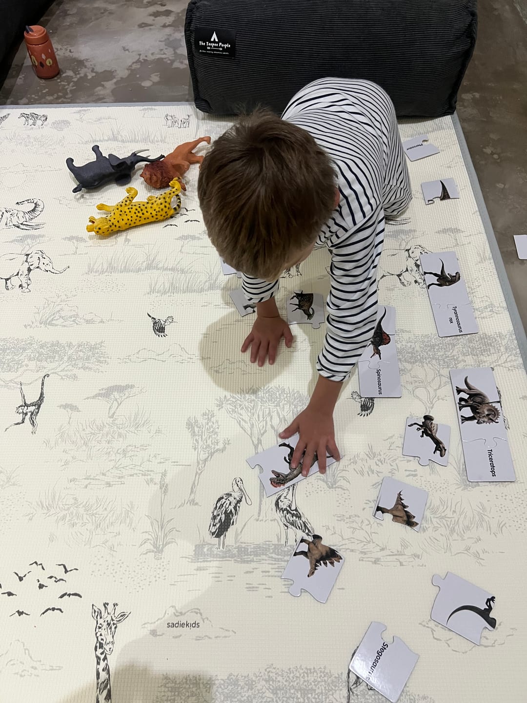Customer photo review of Safari Toile/ Dune Play Mat