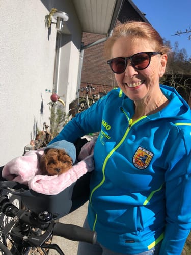 Customer photo review of Kvisp Dog Bike Carrier