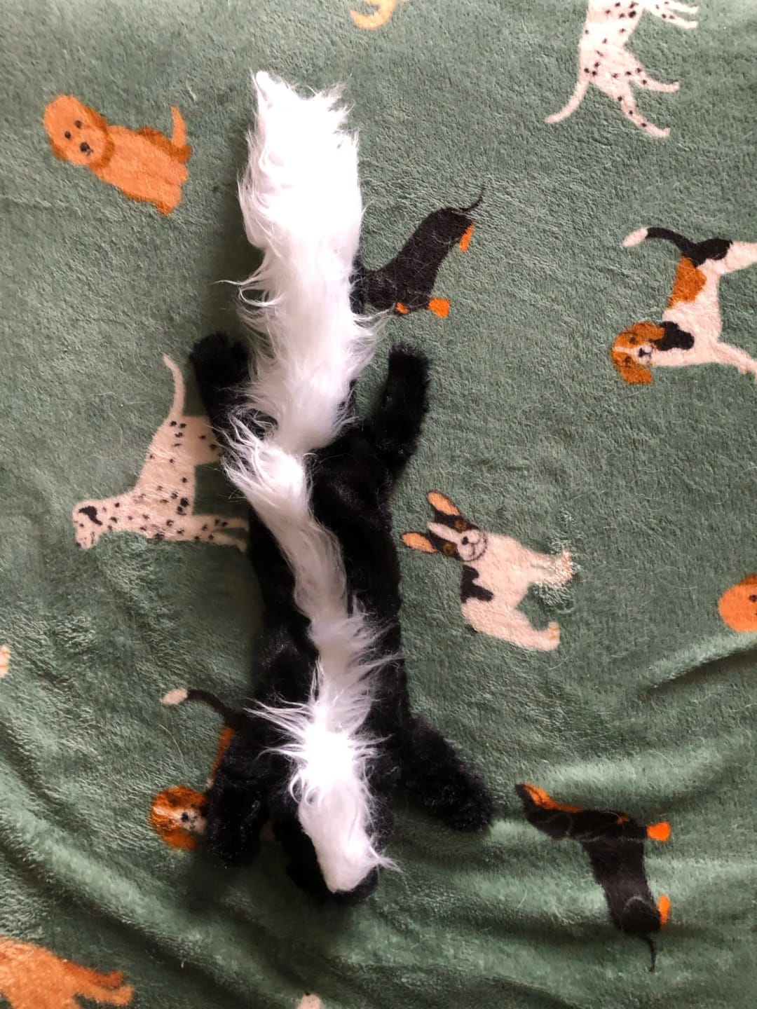 Customer photo review of Simulated Animal Stuffingless Plush Squeaky Dog Toy