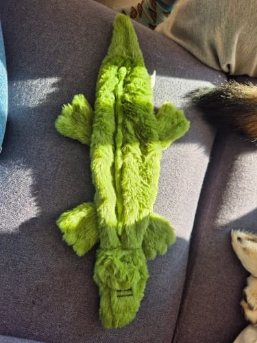 Customer photo review of Simulated Animal Stuffingless Plush Squeaky Dog Toy