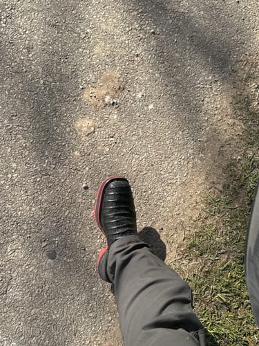 Customer photo review of Black Caiman Belly Leather Boots - Composite Toe